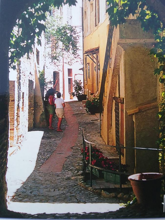 Petite Fleur D'Azur Bed & Breakfast Cagnes-sur-Mer Luaran gambar